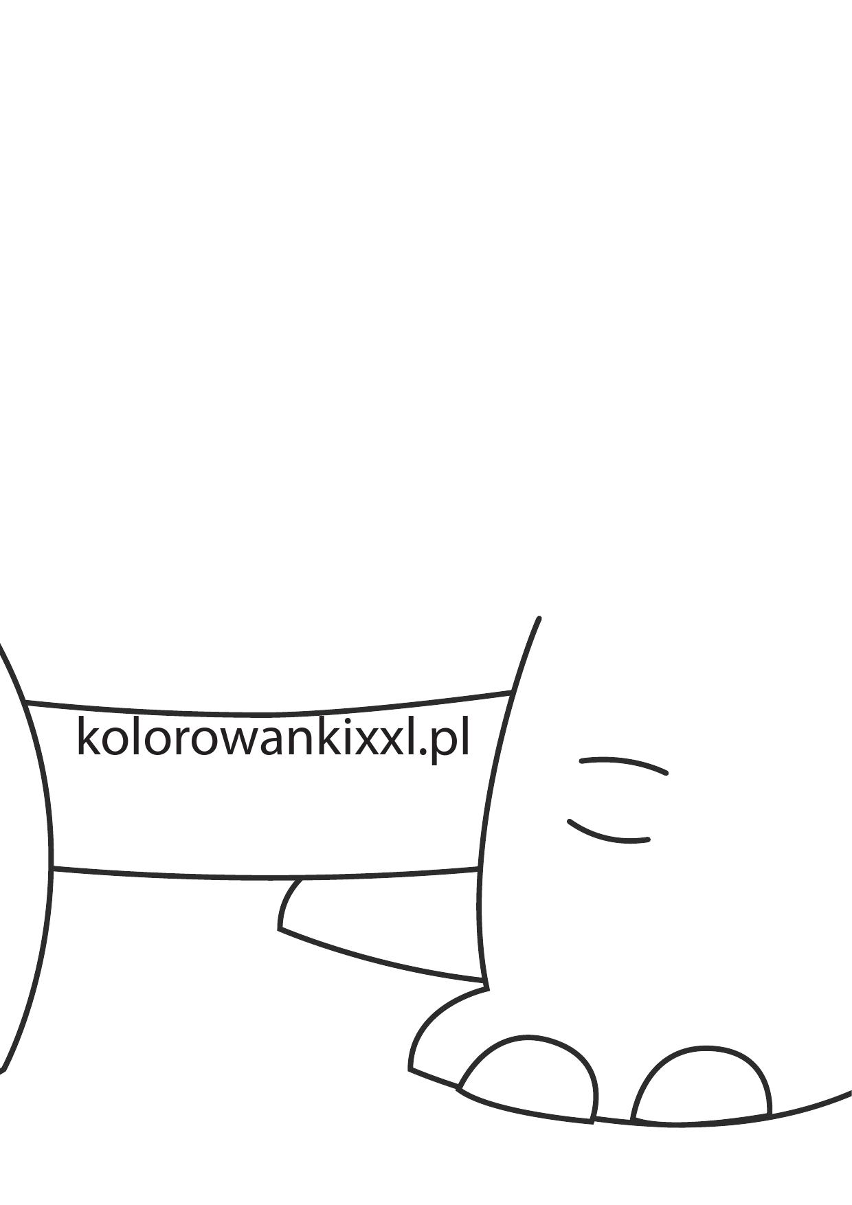 Kolorowanki XXL: Dzień Dinozaura