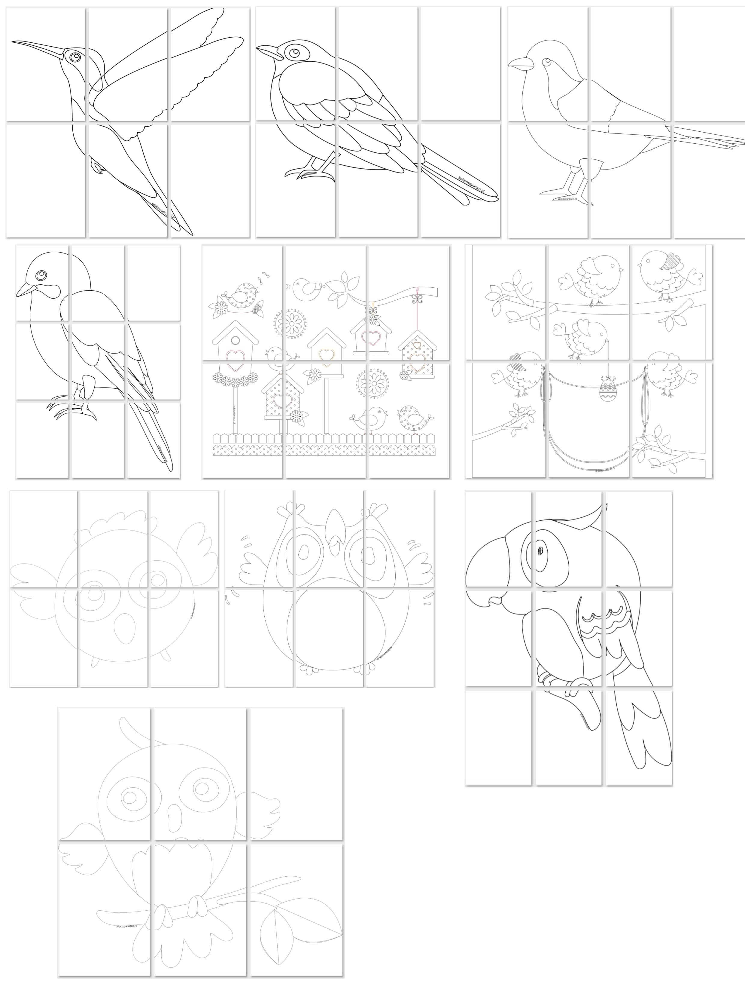 Kolorowanki XXL: Dzień ptaków