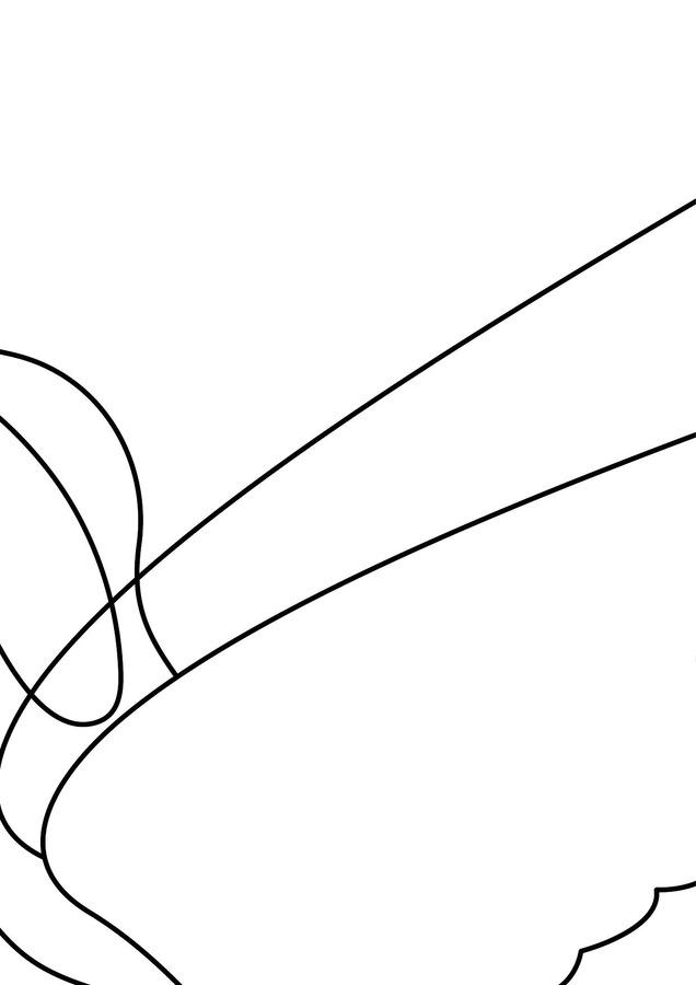 Kolorowanki XXL: Dzień ptaków