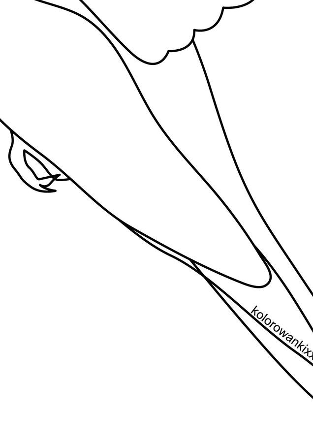 Kolorowanki XXL: Dzień ptaków