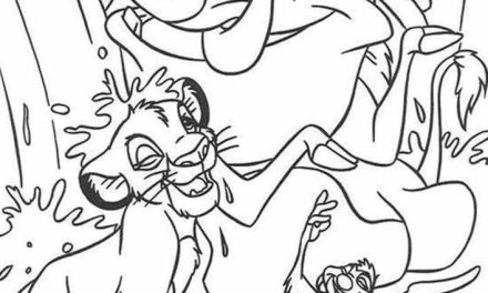 Kolorowanka dla starszych dzieci Timon i Pumba biorą prysznic