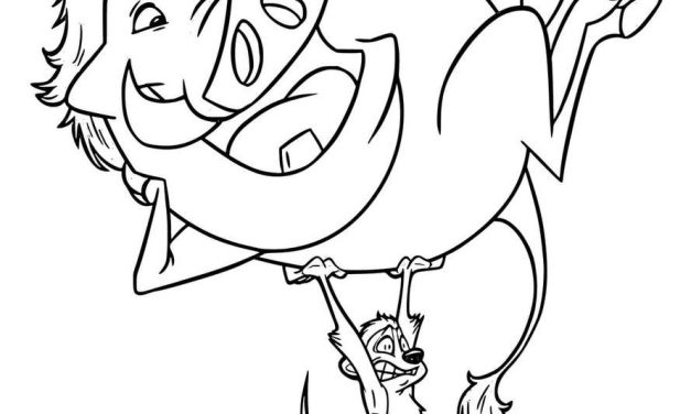 Zabawna kolorowanka z Timonem i Pumbą